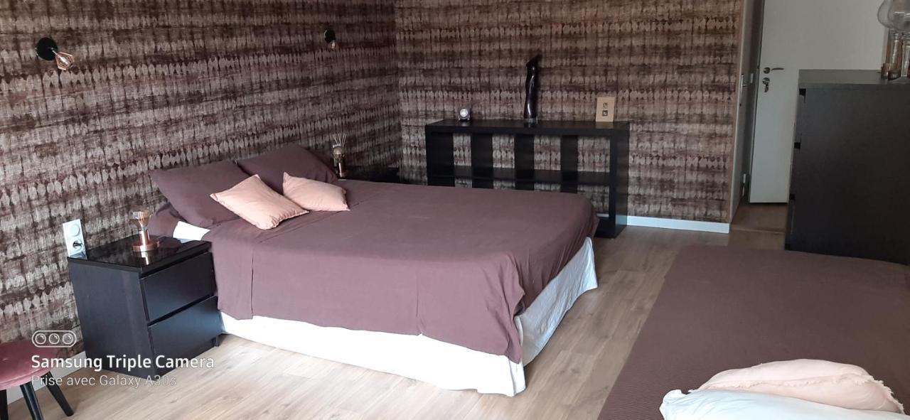 La Cigale Et La Fourmi Apartment Nimes Ngoại thất bức ảnh